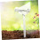 5 Pieces Automatic Watering Machine for Plants SelfWatering System PVC Material 4