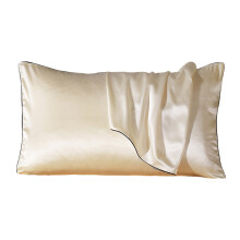 Anti-Ageing Silk Pillowcase for Skin and Hair, OEKO Tex Certification Hypoallergenic Beauty Pillow Cover, 100% Pure Mulberry Silk Envelope Closure Des