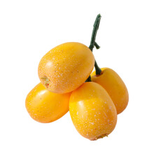 Le modèle de fruit de Simulation Loquat ajoute un-4 fourchettes