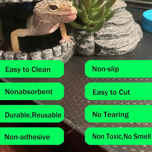 Large Reptile Carpet, Reptile Mat, Bearded Dragon, Leopard Gecko Subst 2