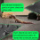 Large Reptile Carpet, Reptile Mat, Bearded Dragon, Leopard Gecko Subst 4