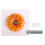 Gelber Gartenhof, eiserne Sonnenblumen-Villa-Dekoration, Gartenmauer 6