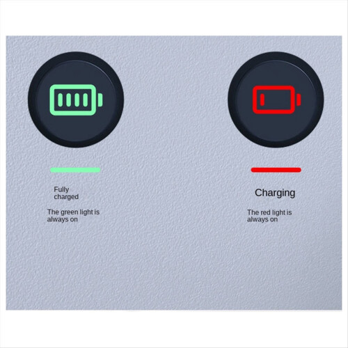 for 11 10 Action Camera Battery Charging Case Charger Storage Kit,B