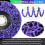 12 Pack 4 Kinds Paint Strip Discs 4x5/8inch Angle Grinder Stripper Whe 3