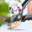 5PCS Portable Quick Sharpener,Garden Tool Sharpener, Sharpener Stones 5