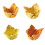 Pidy Spicy Cups Assortment 4cm - 1x96 1