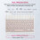 10-Inch Bluetooth Keyboard with Battery-Powered Mouse Ultra-Thin Wirel 6