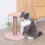 Jouet à gratter pour chat, corde en Sisal pour-pamplemousse 6