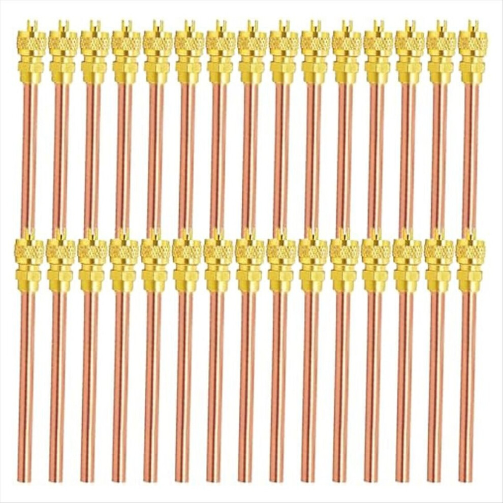30Pcs Access Service Valve,Refrigerator Valves Kit, Stem Core Ac Refri 4852494306375