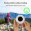 Tuya Intelligent Atmospheric Pressure Sensor with Temperature and Humi 3