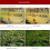 Solar Eclipse Camera Lens Filter Solar Eclipse Filter Enhancing Photo Lens Removable Works with Mobile Phone for Camera 2