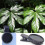 Solar Eclipse Camera Lens Filter Solar Eclipse Filter Enhancing Photo Lens Removable Works with Mobile Phone for Camera 8