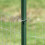 SpeedyTie T-Post Combo Pack for Drill - 200 T Post Ties, Drill Chuck W 4