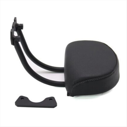 Modified Passenger Rear Backrest Kit for Sportster S 2021- 1