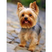 Rompecabezas de 500 piezas de Yorkshire Terrier, cachorro de perro Yorkie - Arte de diamante 5D DIY, regalo de pared para el hogar