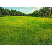 500 Piece Grass Lawn Green Color Open Land Jigsaw Puzzle - Challenging Family Activity DIY Entertainment