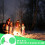 Reflective Tacks Trail Marking Glow Markers Mark 5