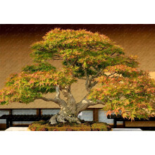 1000-elementowa układanka z drzewkiem bonsai, drewno, duży format – dla dorosłych, wymagających, relaksujących, domowych