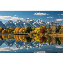Grand Teton National Park Autumn 500 Piece Wooden Jigsaw Puzzle, Landscape Wall Decor & Decompressing Game