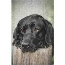 500 brikker puslespil med sorte hunde, labradorer, til voksne - legetøj, gave, familie, dekoration, børnepuslespil
