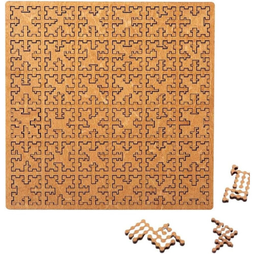 Fractal Tray Puzzles - Hard Difficult Wooden Jigsaw Unique Irregular Creative Labyrinth Reverse