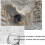 Παζλ 1000 τεμαχίων The Carved Eagle - Παιχνίδι παζλ Majestic Bald Eagle - Προκλητικός τοίχος 4