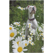 Boxerhund med hvide margueritter, 300 brikker, fantastisk puslespil til voksne, legetøjsgave til familiedekoration og børn