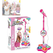 All-in-One-Mikrofon-Spielzeug-Karaoke-Maschine mit Ständer, Echoeffekt und Blinklichtern