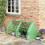 Mini Walk-in Greenhouse 6