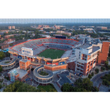 1000 bitars USA America Gainesville Ben Hill Griffin Stadium pussel - Träresouvenir College Football