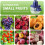 Electric Grape Peeling Machine 2025 Automatic Small Fruit Garlic White 7