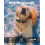 Dog Bark Collar Large Medium Small Rechargeable 5 Sensitivity Humane Beep 7