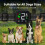 NooBark Anti-Bark Dog Collar Smart Bark Control 4 Modes 8 Sensitivity 3