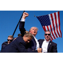1000 brikker Trump træpuslespil til voksne, stresslindring, familieunderholdning, afslapning, samlerobjekt, dekoration, 45x69 cm