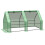 Mini Walk-in Greenhouse 1