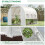 Mini Walk-in Greenhouse 6