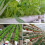 Hydroponic Gardening Tools White Vegetable Planting Sponge Seedling 50 6