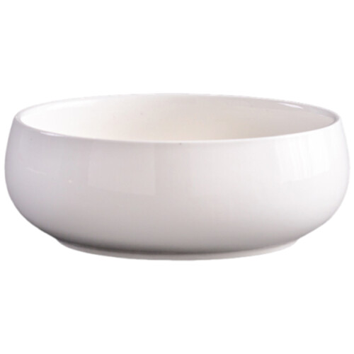 Creative Ceramic Planter Bowl for Succulents-White porcelain
