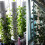 Hydroponic Vertical Tower Container DIY Planting Cup Flower Plant Grow 4