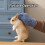 Hedgehog Handling Gloves AntiBite Protective Training Mitts for Small Pets 2 Pack Blue 3