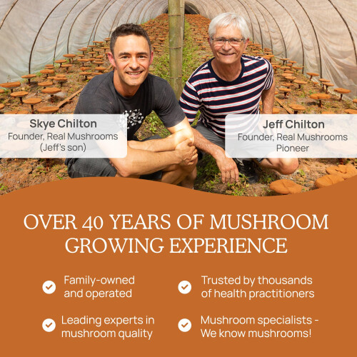 Real Mushrooms, Cordycep-M‚Ñ, Μύκητες Εξόχου, 120 Φύλλα 1
