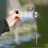 Multifunctional bait container with hook holder, 15.5 cm, compact, white. 4