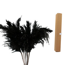 Decoração elegante: Capim-dos-pampas grande e estiloso, alto e fofo, para decoração boho em casas minimalistas ou boêmias, decoração de