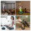 Colorful Volcano Diffuser 200ml Ultrasonic Flame Fire Humidifier with Auto-Off Protection Cool Mist Diffuser A 6