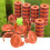 12 Pack Replacement for WA0010/WA6531 Spool Mowing Head Line Cover 4