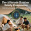 Portable Multifunctional Carbon Monoxide Dioxide Detector Air Quality 6
