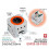 For M5Stack ATOMS3R Camera Kit M12 Version High-Resolution OV3660 Sensor M12 Wide Angle Camera Programmable Controller 7