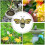Bee Waterer with Floating Bee Feeder, 3D Printed BeeShaped Pollinator Island for Garden Pond 4