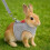 Bunny Harness and Leash Set, Soft Breathable Mesh Vest, Escape-Proof Adjustable Small Pet Harness 7