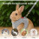 Bunny Harness and Leash Set, Soft Breathable Mesh Vest, Escape-Proof Adjustable Small Pet Harness 8